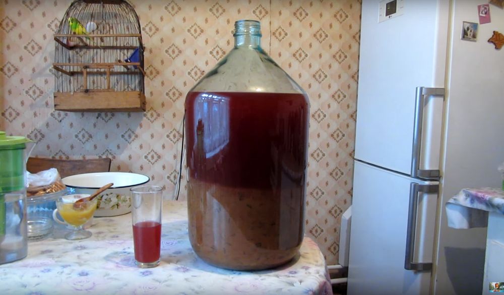 Брага из сливы